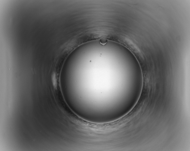 X0000094080026200710261316