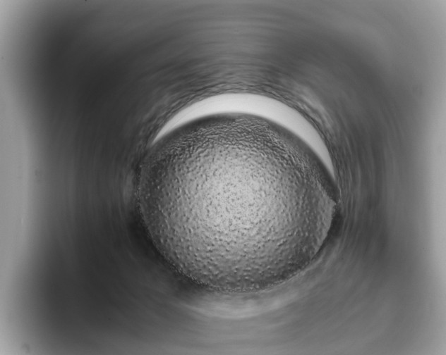 X0000094080029200710261316