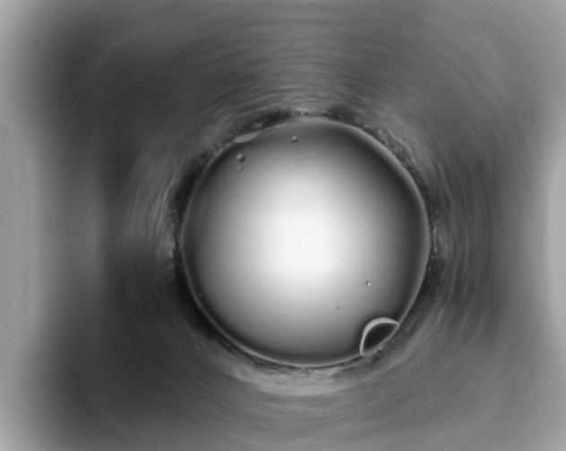 X0000094080032200710261316