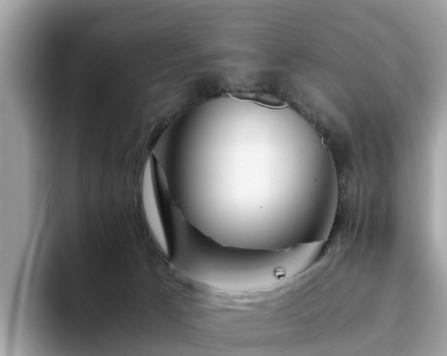 X0000094080033200710261316