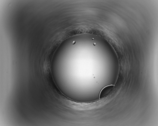 X0000094080034200710261316