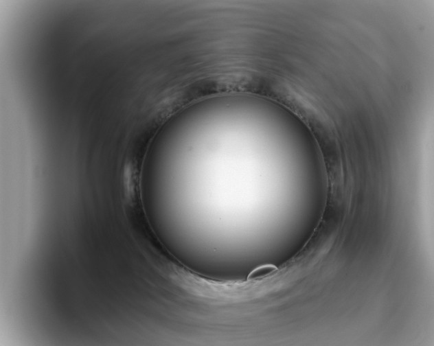 X0000094080038200710261316