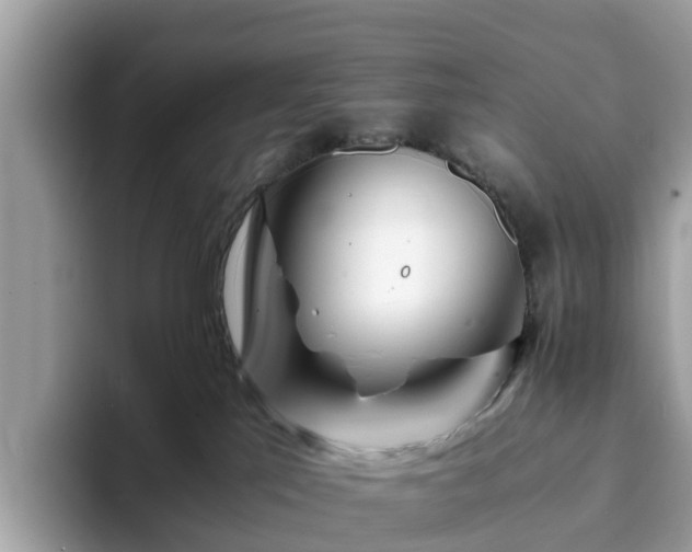 X0000094080041200710261316