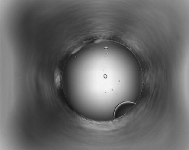 X0000094080042200710261316