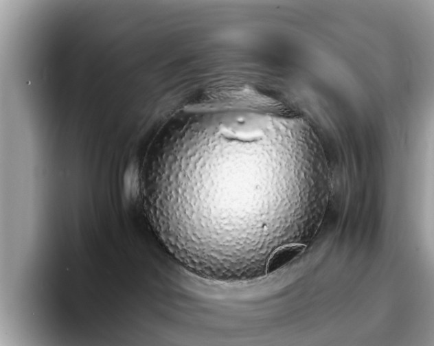 X0000094080046200710261316