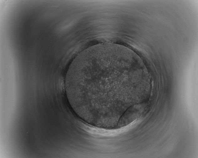 X0000094080048200710261316