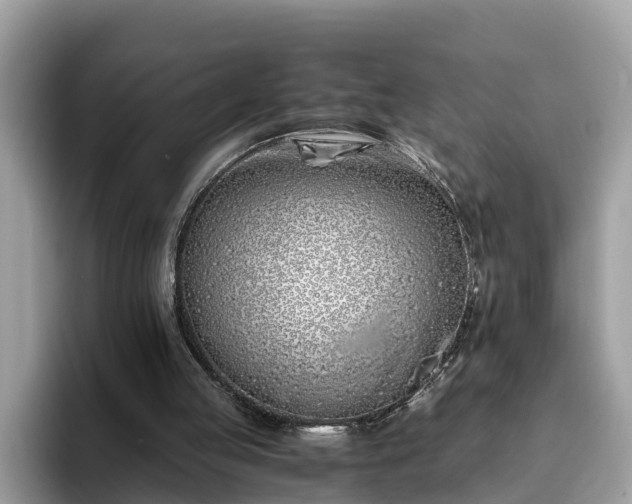 X0000094080053200710261315