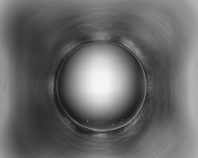 X0000094080058200710261316