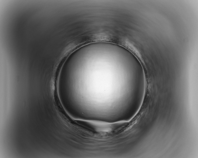 X0000094080059200710261316