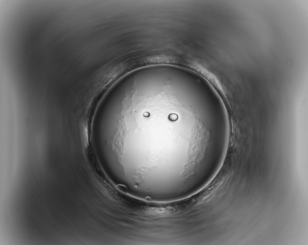 X0000094080061200710261316