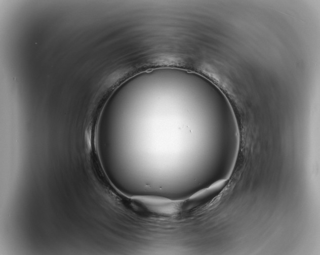 X0000094080062200710261316