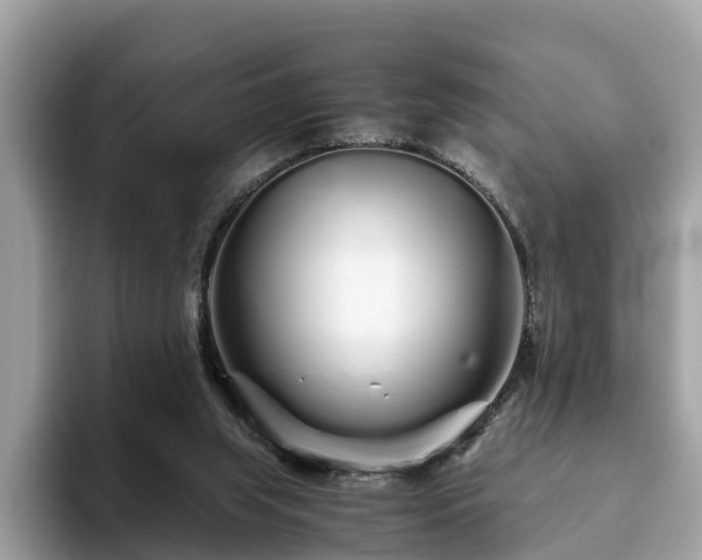 X0000094080063200710261316