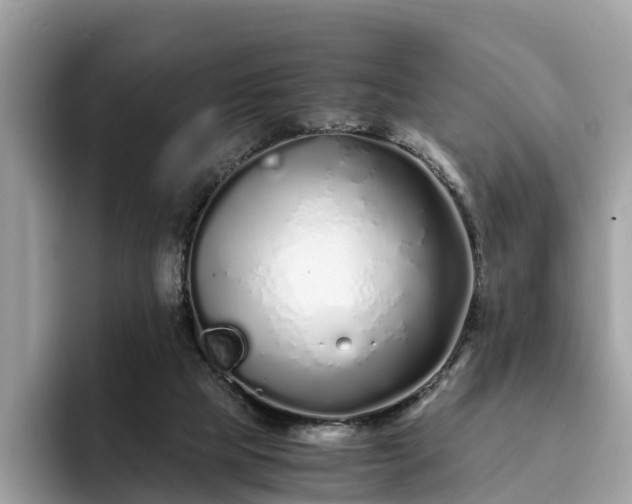 X0000094080065200710261316