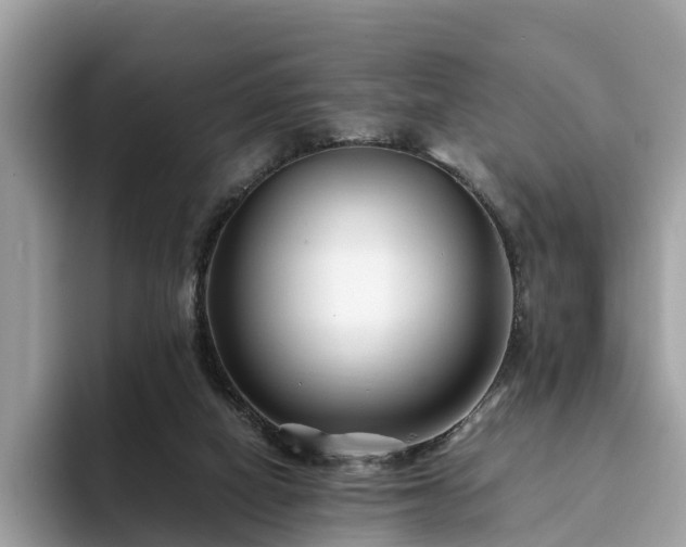 X0000094080066200710261316