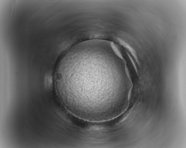 X0000094080067200710261316