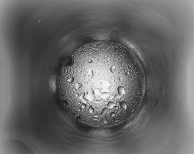 X0000094080069200710261316