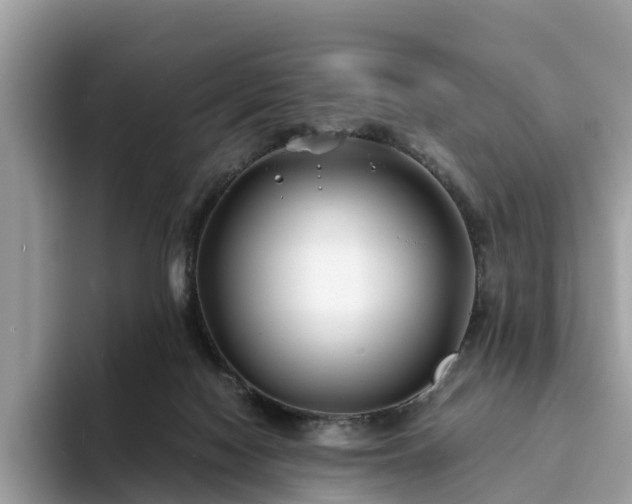 X0000094080074200710261316