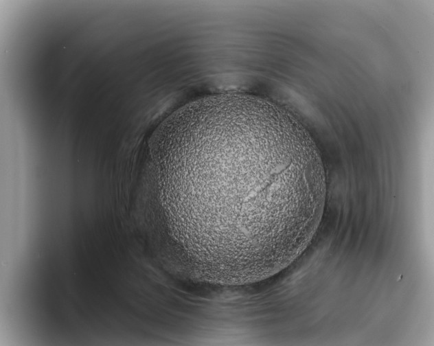 X0000094080076200710261316