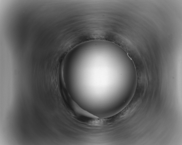 X0000094080084200710261316