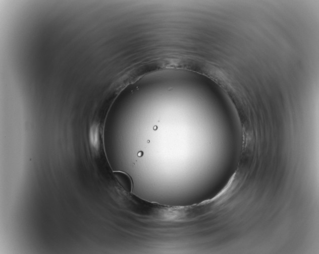 X0000094080094200710261316