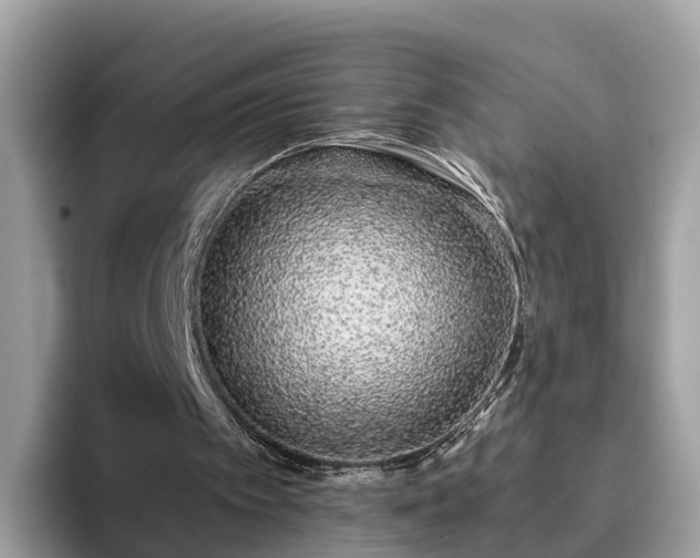 X0000094080097200710261315