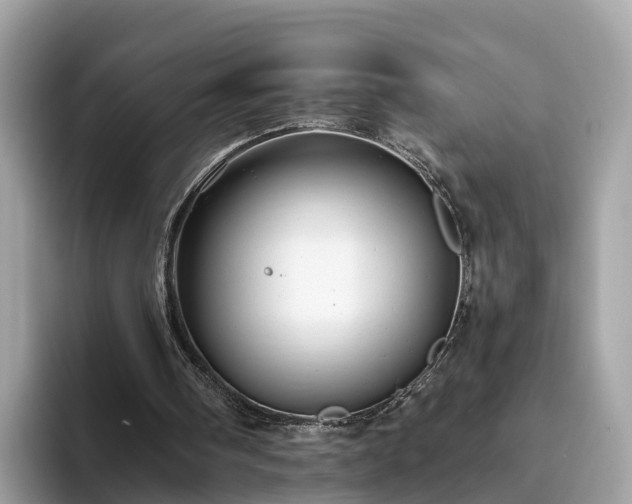 X0000094080098200710261315