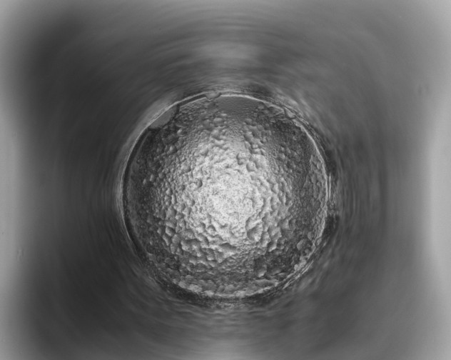 X0000094080099200710261315