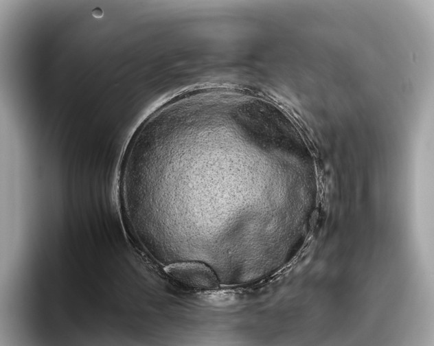 X0000094080100200710261315