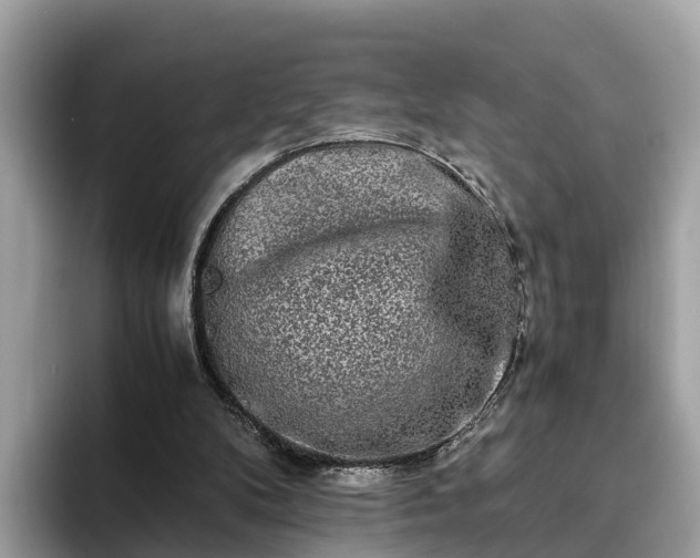 X0000094080104200710261315