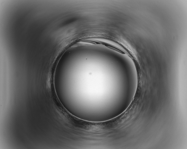 X0000094080107200710261315