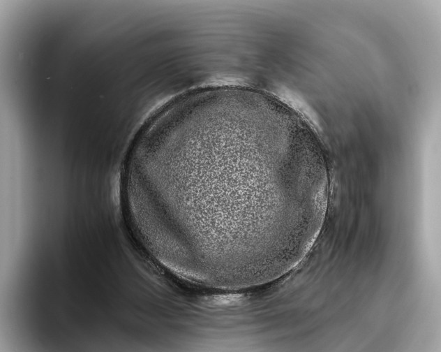 X0000094080108200710261315