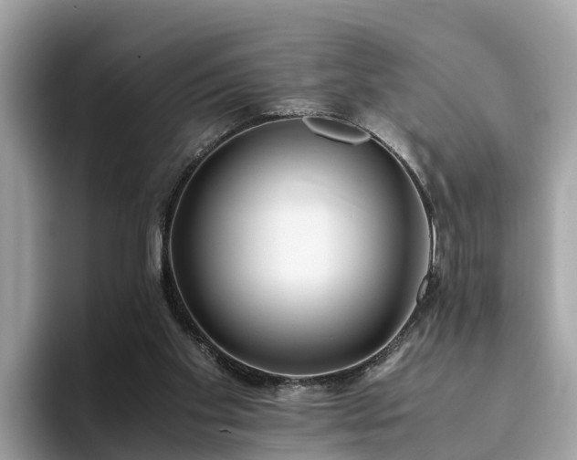 X0000094080109200710261315