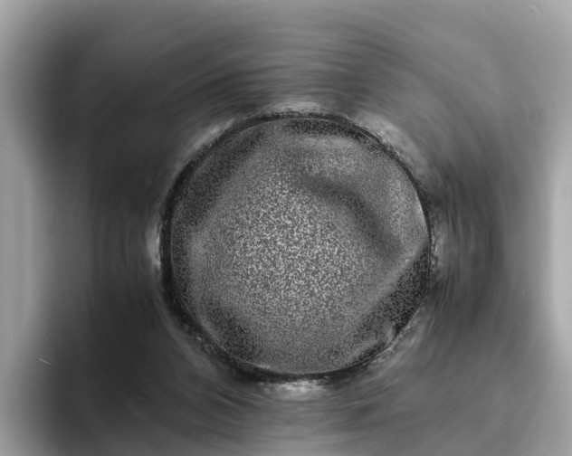 X0000094080112200710261315