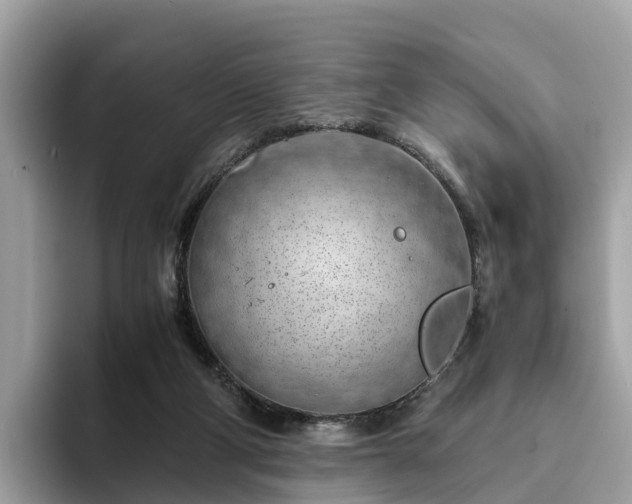 X0000094080114200710261315