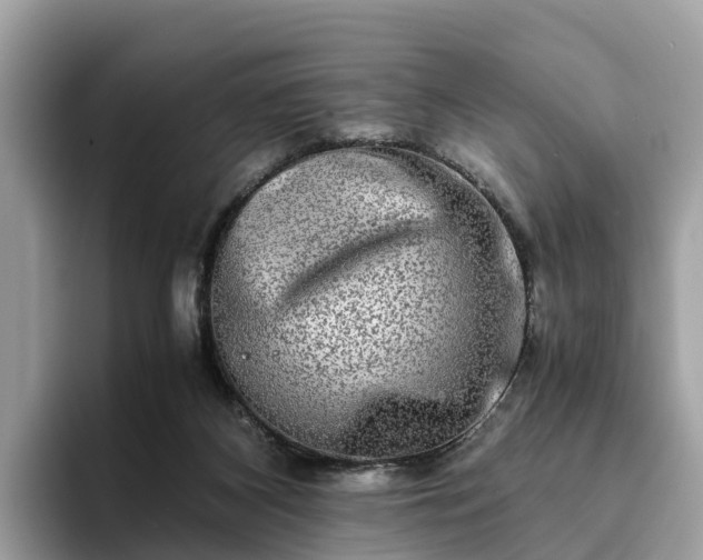 X0000094080116200710261315