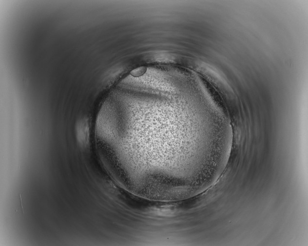 X0000094080120200710261315