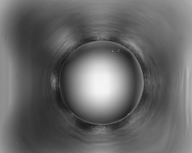 X0000094080123200710261315