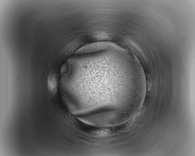 X0000094080124200710261315