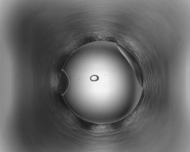 X0000094080129200710261315