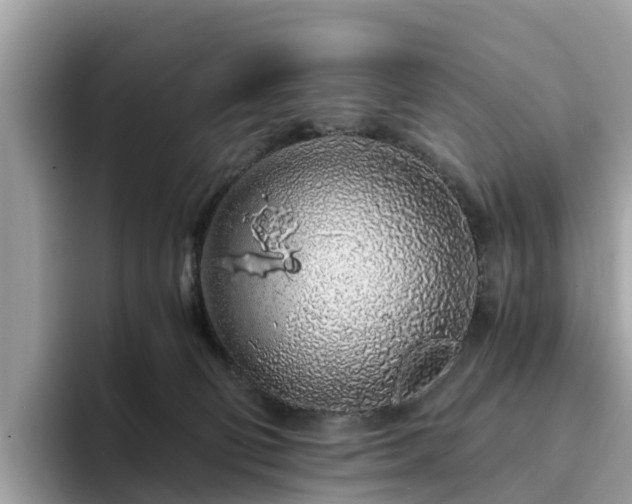 X0000094080130200710261315