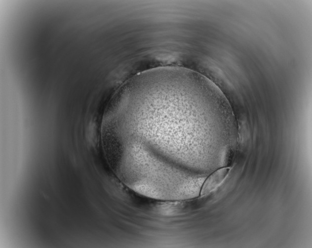 X0000094080136200710261315