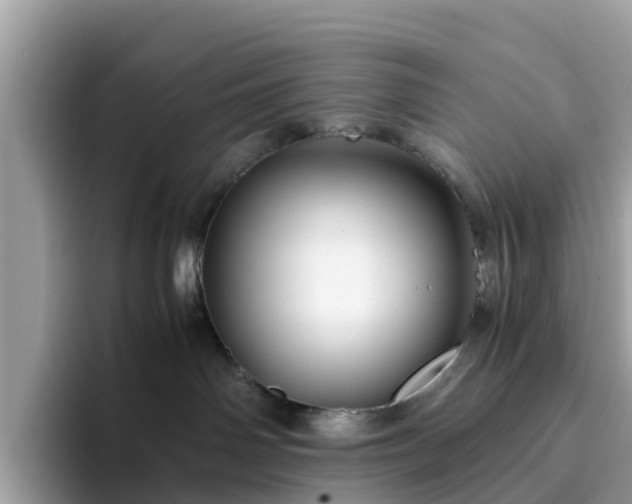 X0000094080142200710261315