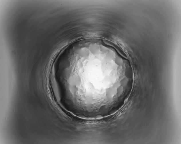 X0000094080145200710261314