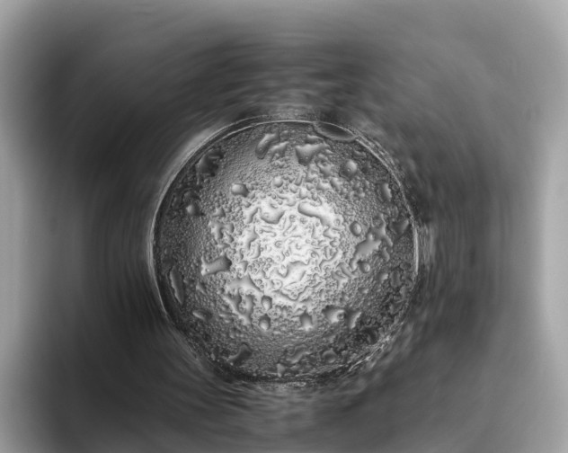 X0000094080147200710261314