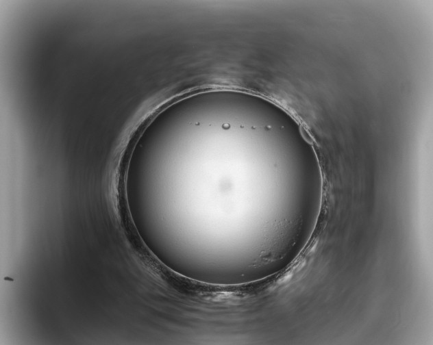 X0000094080151200710261314