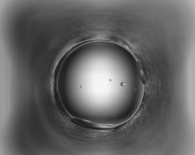 X0000094080152200710261314