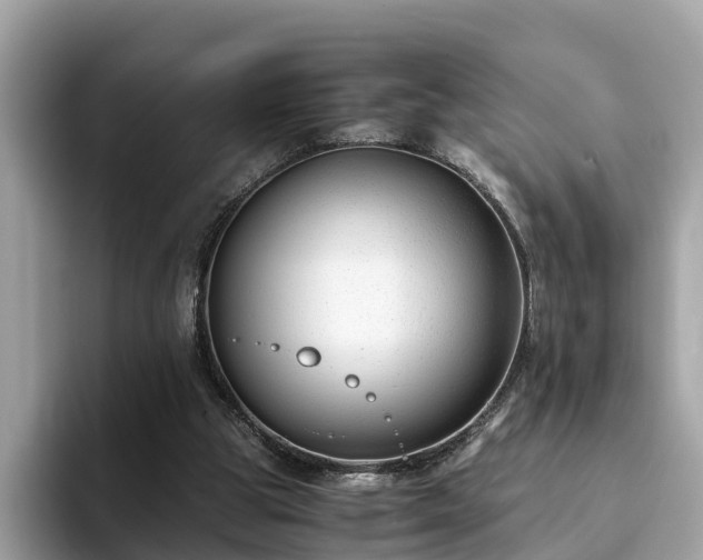 X0000094080153200710261314