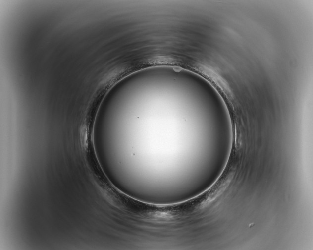 X0000094080157200710261314