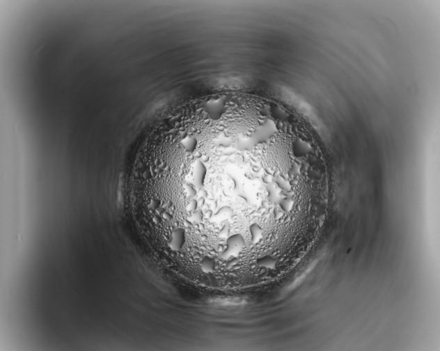 X0000094080161200710261314