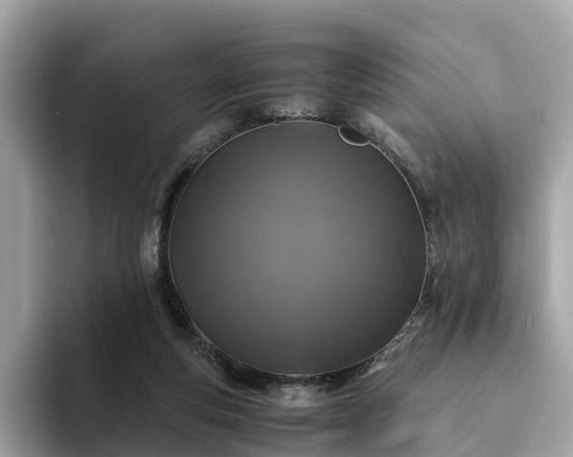 X0000094080163200710261314